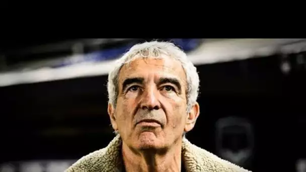 Raymond Domenech dans l’émission «L’équipe de Greg» : «On reproche très facilement aux autres ses…