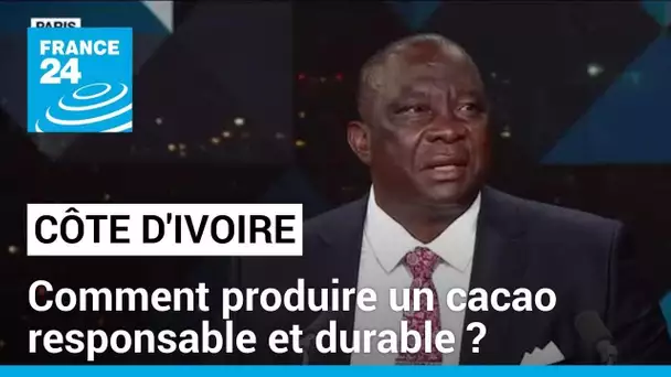 Agriculture en Côte d'Ivoire : comment produire un cacao responsable et durable ? • FRANCE 24