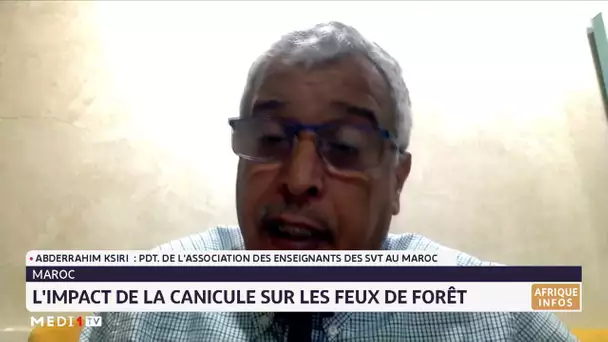 L´impact de la canicule sur les feux de forêt. Le point avec Abderrahim Ksiri