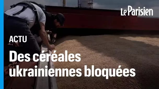 Le conflit en mer noire sur les exports de céréales ukrainiennes fait exploser les prix du blé