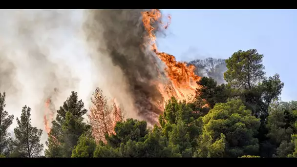 Grèce : 18 migrants présumés retrouvés morts dans un feu de forêt