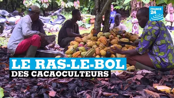 Le ras-le-bol des cacaoculteurs en Côte d'Ivoire