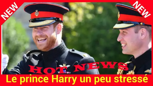 Le prince Harry un peu stressé à l&#039;idée de devenir papa… cette blague qui ne laisserait