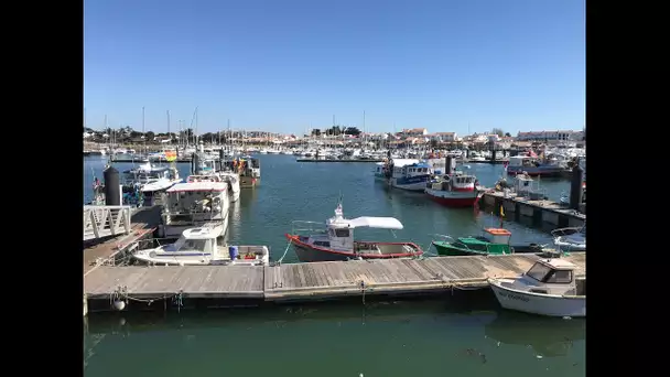 COVID19 : le secteur de la pêche entre arrêt total et reprise partielle