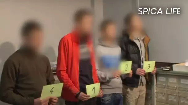 Braquage à Lille : traque intense des malfaiteurs