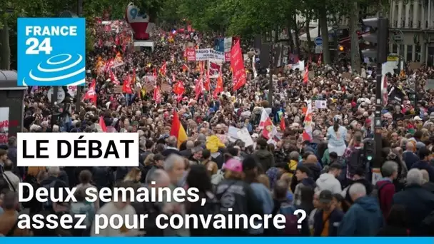 Début de la campagne des législatives : deux semaines, assez pour convaincre ? • FRANCE 24