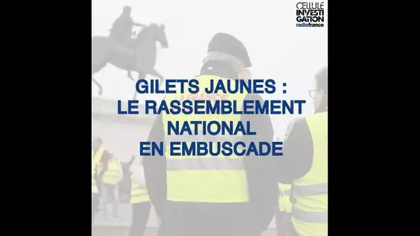 Gilets jaunes : le Rassemblement national en embuscade