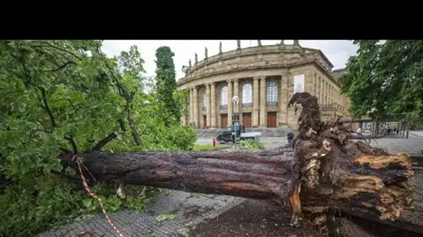 Entre violents orages et fortes chaleurs : une météo chahutée dans une partie de l'Europe