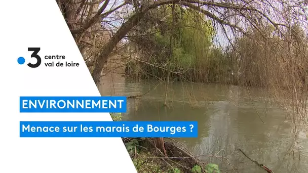Environnement : menace sur les marais de Bourges ?