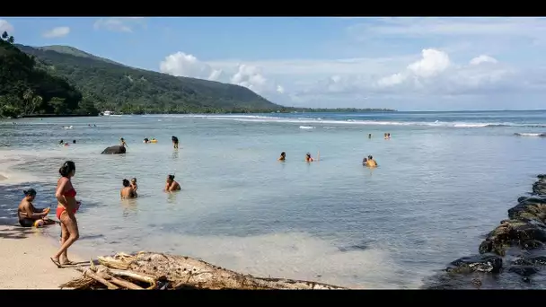 Vives, oursins, méduses : comment réagir après une piqûre sur la plage ?