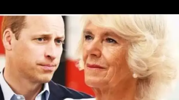 Camilla "se prépare à remettre William à sa place" quand Duke "@buse" de la "générosité" de Charles