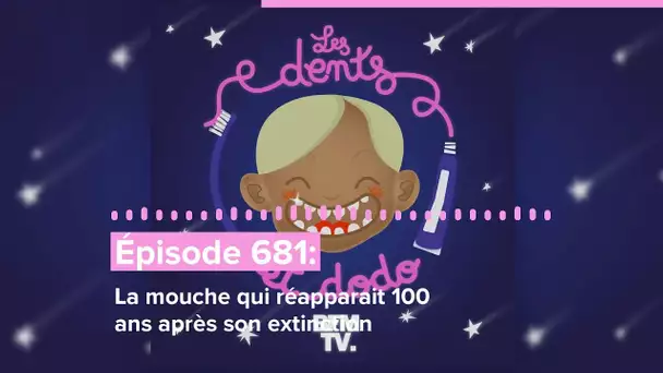 Les dents et dodo - “Épisode 681 : La mouche qui réapparait 100 ans après son extinction”