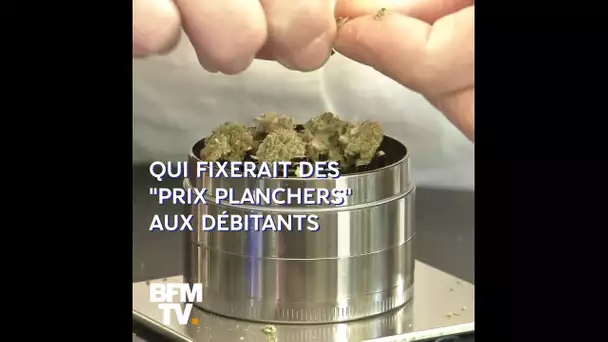 Légalisation du cannabis: que contient la proposition de loi des députés ?