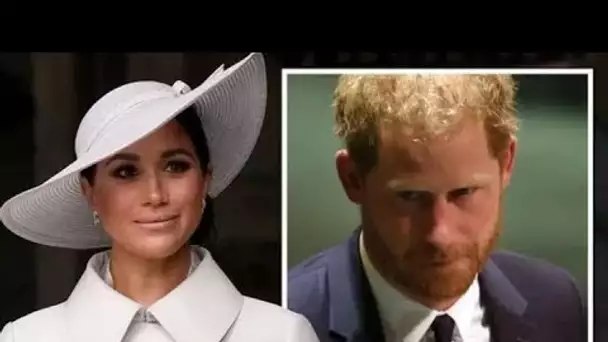 Meghan a « atténué » la première rencontre avec les amis de Harry alors que la duchesse les « réprim