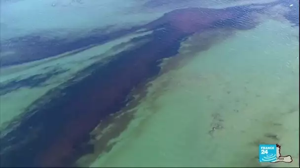 Île Maurice : le navire menace de se briser avec 4 000 tonnes de pétrole