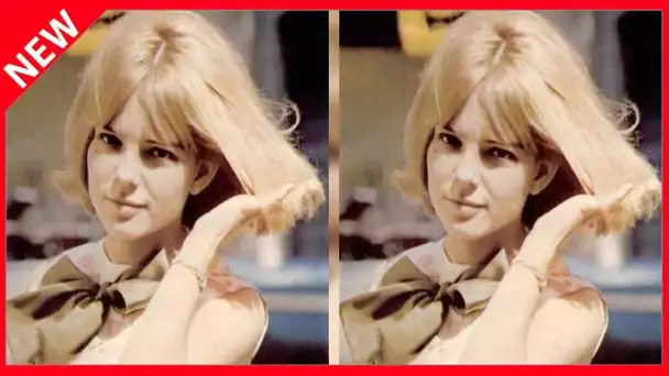 ✅  Le saviez-vous ? France Gall a quitté Julien Clerc pour Michel Berger