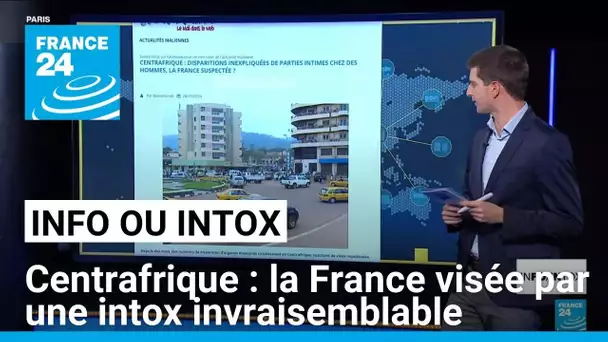 Non, la France n’est pas derrière un trafic d’organes génitaux en République centrafricaine