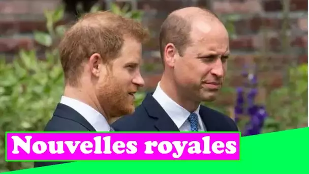 William et Harry " semblaient un peu forcés " alors que la pression lors du dévoilement de la statue