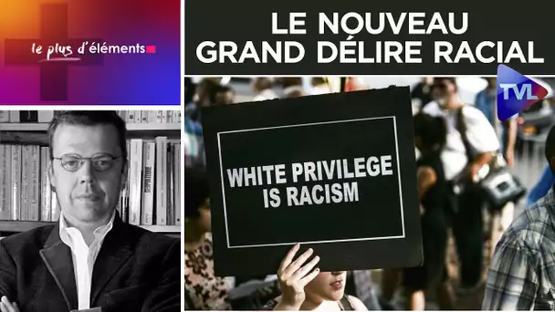 Le nouveau grand délire racial - Le Plus d'Eléments - TVL