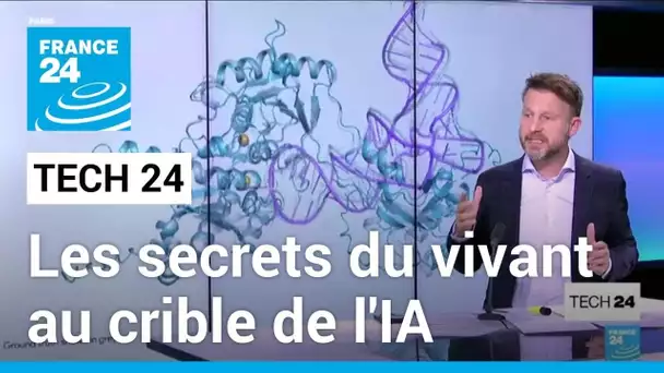 Les secrets du vivant au crible de l'intelligence artificielle • FRANCE 24