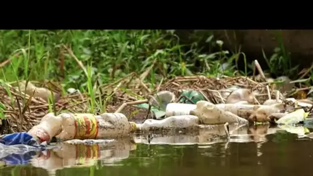 Au Cameroun, une association se mobilise face à la pollution du fleuve Wouri