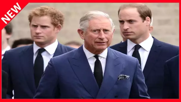 ✅  Harry et William en froid avec Charles ? Cette cinglante mise au point