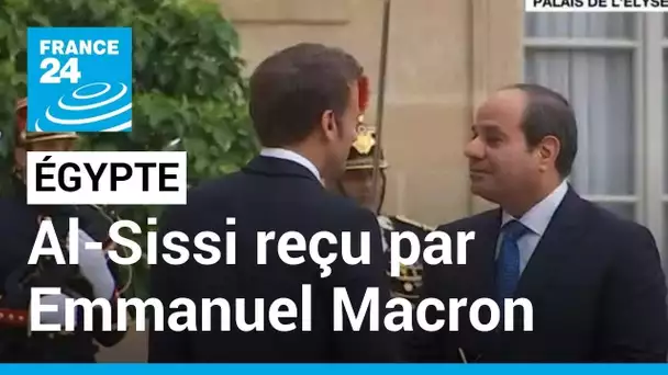 Le président égyptien Abdel Fattah al-Sissi reçu par Emmanuel Macron à l'Élysée • FRANCE 24