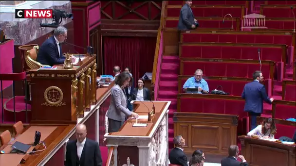 PMA pour toutes : le vote des députés passé au scanner