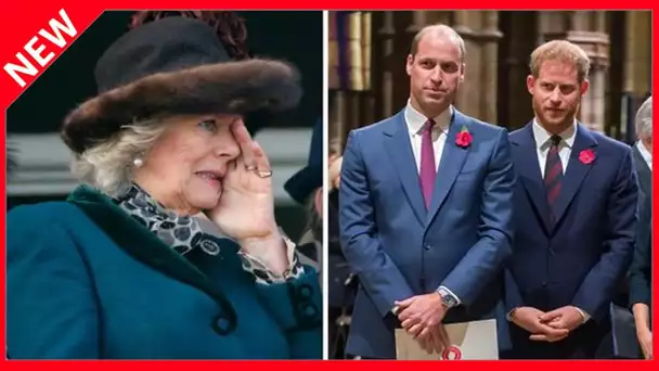 ✅  Prince Harry : quelles sont ses relations avec Camilla Parker-Bowles ?