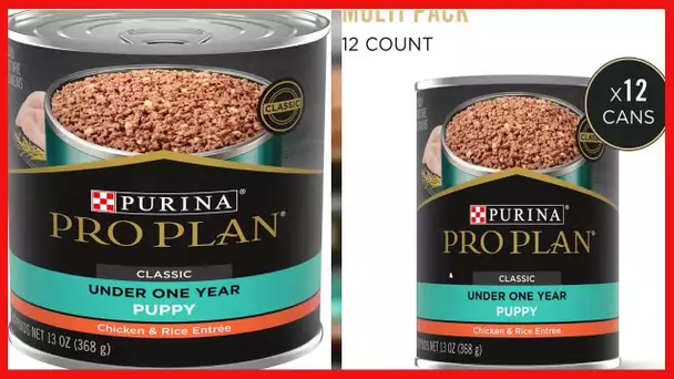 Purina Pro Plan High Protein Wet Puppy Food (Packaging May Vary)