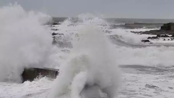 Vents jusqu'à 150 km/h et risque de submersion : la tempête Ciaran va frapper la France