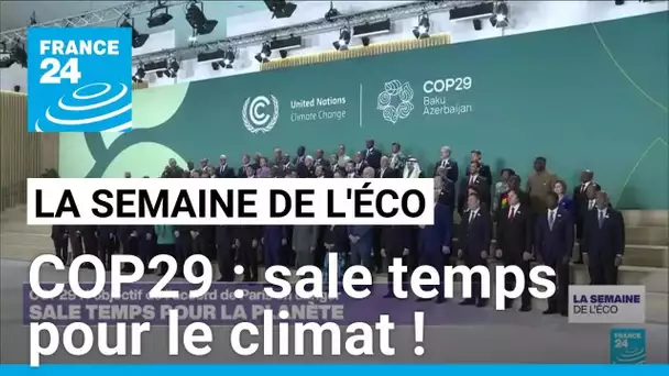 COP29 : sale temps pour le climat ! • FRANCE 24