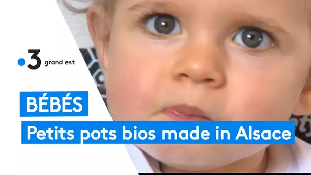 Bébés : des petits pots bios made in Alsace