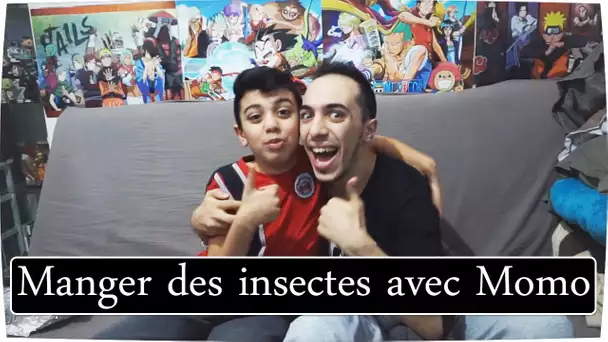 MANGER DES INSECTES AVEC MOMO