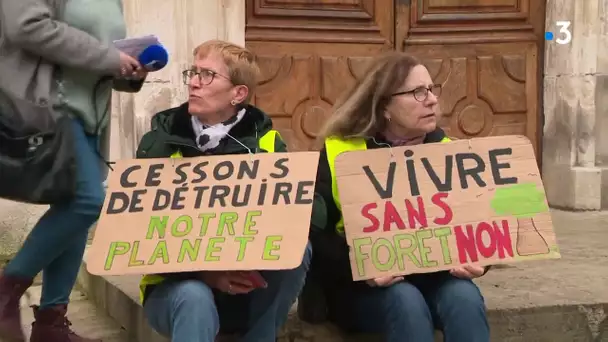 Auxerre et Sens : des marches pour le climat ont eu lieu malgré le coronavirus