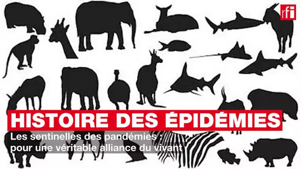 Histoire des épidémies #23 - Les sentinelles des pandémies : pour une véritable alliance du vivant