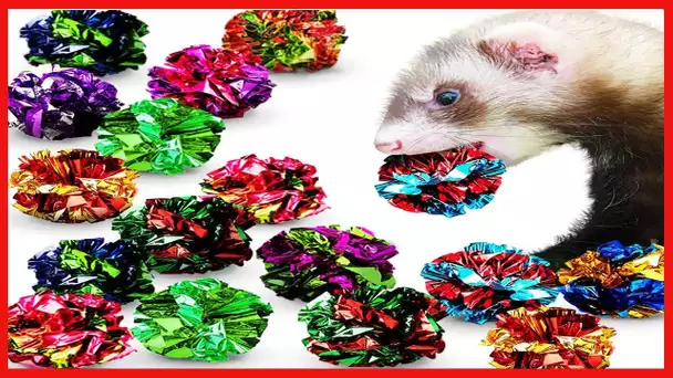 SunGrow 24 Pcs Ferret Mylar Crinkle Balls Toys, 2" Soft Play and Chase Indoor Toys for Exercise