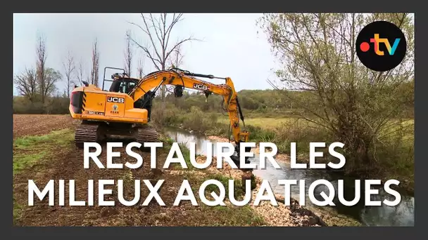 Environnement : comment restaurer les milieux aquatiques ?