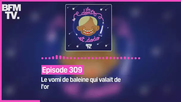 Episode 309 : le vomi de baleine qui valait de l'or - Les dents et dodo