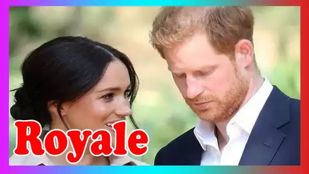 Les fans de Meghan et Harry éclatent à cause de nouvelles fuites: ''Tellement décevant !''