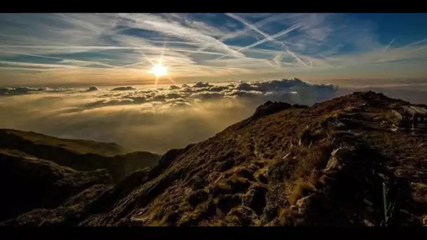 Météo : faut-il s'inquiéter des températures printanières en décembre ?