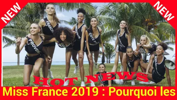 Miss France 2019:Pourquoi les trente prétendantes forment « une promotion d'exception » selon Sylvie