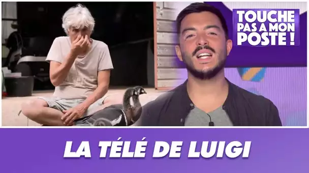 La télé de Luigi : L'homme qui murmurait à l'oreille des oies