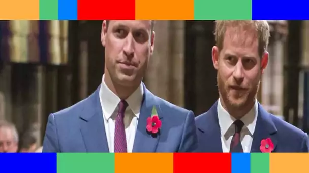 Le prince Harry jaloux de son frère William : “Il a voulu changer les règles du Palais”