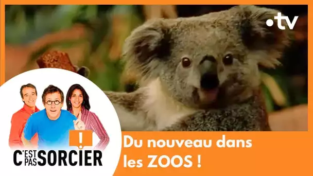 Du nouveau dans les ZOOS ! - C'est pas sorcier [Intégrale]