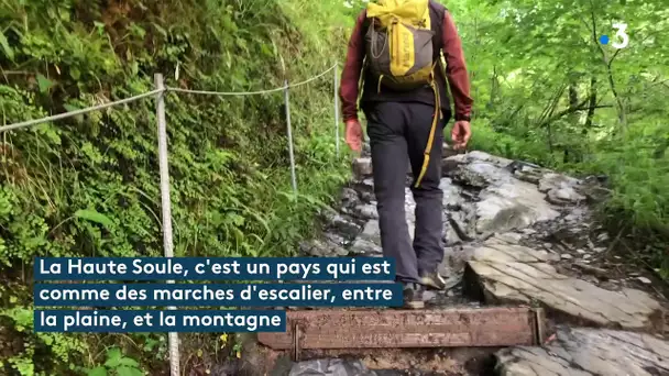 Promenade suspendue sur la passerelle d&#039;Holzarte