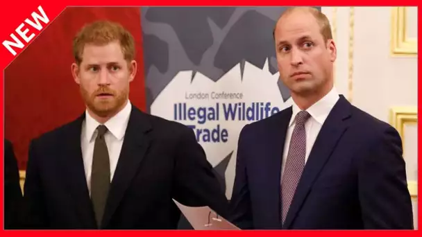 ✅  Le saviez-vous ? Harry et William n’ont pas le droit de voter