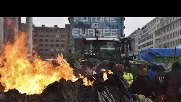 La colère des agriculteurs européens ne faiblit pas