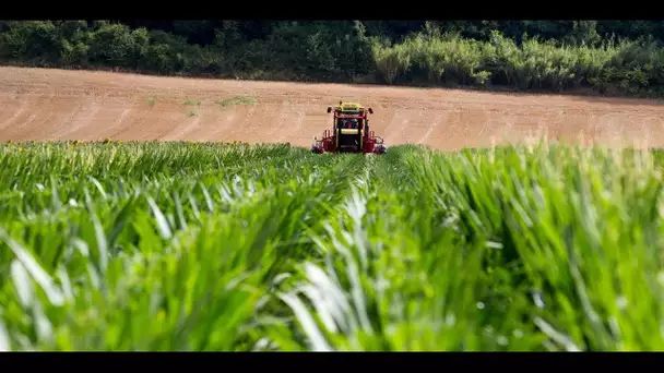 Comment les agriculteurs se préparent face à l'épisode de gel