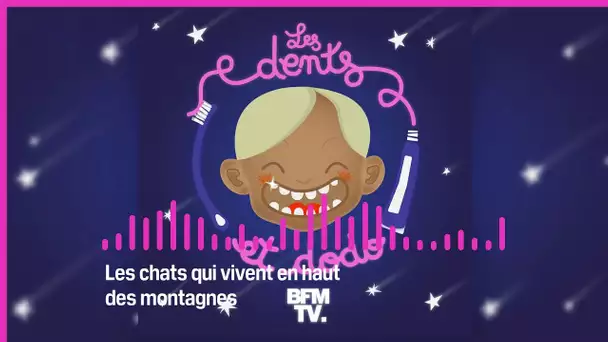 Les dents et dodo - “Les chats qui vivent en haut des montagnes”